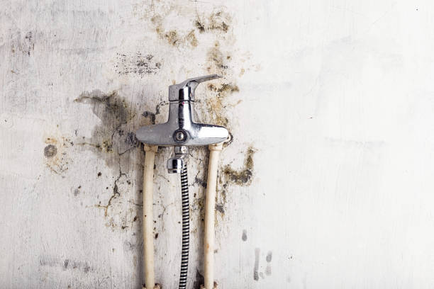 Best Kitchen Mold Remediation in Lexington, OK