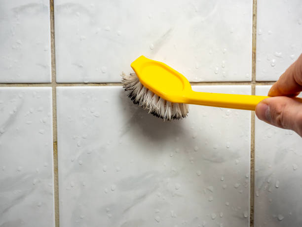  Lexington, OK Mold Removal Pros
