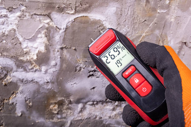 Best Residential Mold Remediation in Lexington, OK